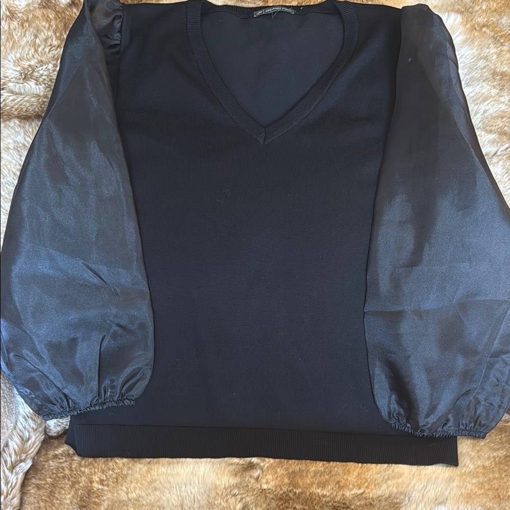 Black V-Neck Sweater with Sheer Sleeves